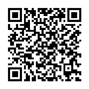Link zu deiner Spendenaktion QRCode - Fundraising