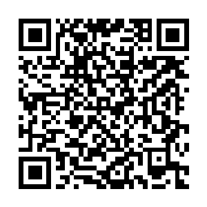 Link zu deiner Spendenaktion QRCode - Fundraising