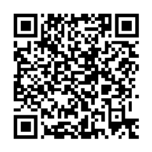 Link zu deiner Spendenaktion QRCode - Fundraising