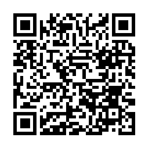 Link zu deiner Spendenaktion QRCode - Fundraising