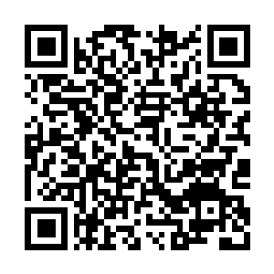 Link zu deiner Spendenaktion QRCode - Fundraising