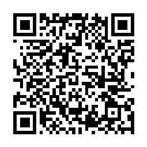 Link zu deiner Spendenaktion QRCode - Fundraising