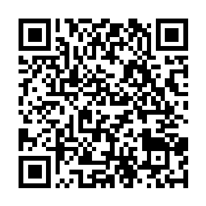 Link zu deiner Spendenaktion QRCode - Fundraising