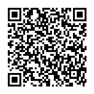 Link zu deiner Spendenaktion QRCode - Fundraising