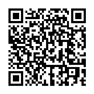 Link zu deiner Spendenaktion QRCode - Fundraising