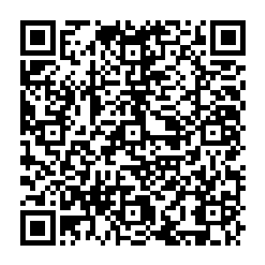 Link zu deiner Spendenaktion QRCode - Fundraising