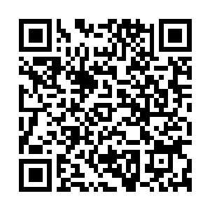 Link zu deiner Spendenaktion QRCode - Fundraising