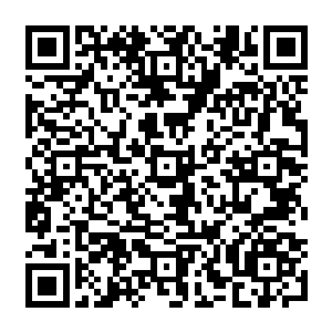 Link zu deiner Spendenaktion QRCode - Fundraising