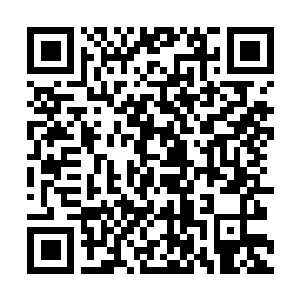 Link zu deiner Spendenaktion QRCode - Fundraising