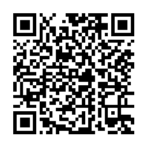 Link zu deiner Spendenaktion QRCode - Fundraising