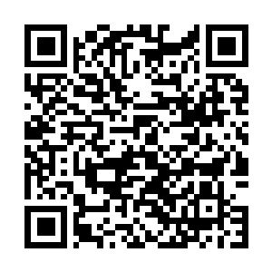 Link zu deiner Spendenaktion QRCode - Fundraising