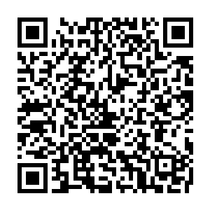 Link zu deiner Spendenaktion QRCode - Fundraising