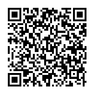 Link zu deiner Spendenaktion QRCode - Fundraising