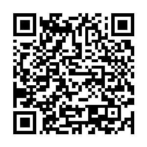 Link zu deiner Spendenaktion QRCode - Fundraising