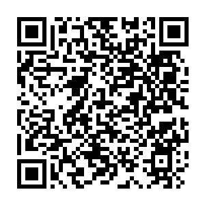 Link zu deiner Spendenaktion QRCode - Fundraising