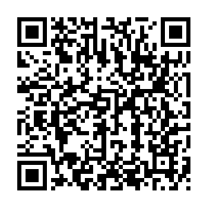 Link zu deiner Spendenaktion QRCode - Fundraising