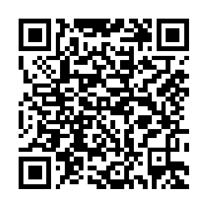 Link zu deiner Spendenaktion QRCode - Fundraising