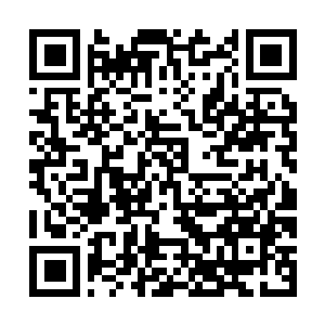 Link zu deiner Spendenaktion QRCode - Fundraising
