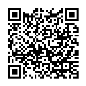 Link zu deiner Spendenaktion QRCode - Fundraising
