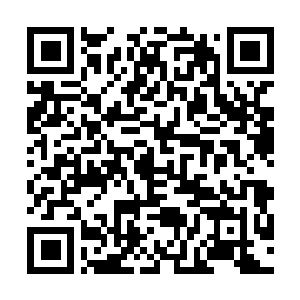 Link zu deiner Spendenaktion QRCode - Fundraising
