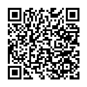 Link zu deiner Spendenaktion QRCode - Fundraising
