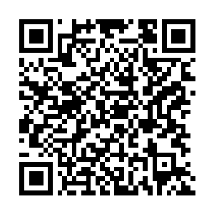 Link zu deiner Spendenaktion QRCode - Fundraising