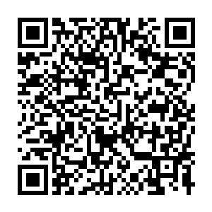 Link zu deiner Spendenaktion QRCode - Fundraising
