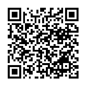 Link zu deiner Spendenaktion QRCode - Fundraising