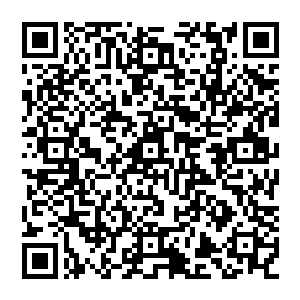 Link zu deiner Spendenaktion QRCode - Fundraising