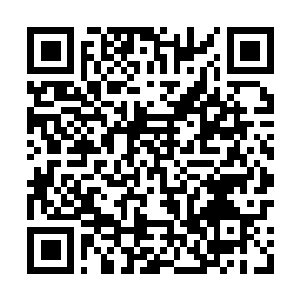 Link zu deiner Spendenaktion QRCode - Fundraising