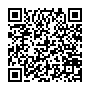 Link zu deiner Spendenaktion QRCode - Fundraising