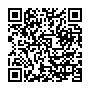 Link zu deiner Spendenaktion QRCode - Fundraising