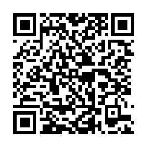 Link zu deiner Spendenaktion QRCode - Fundraising