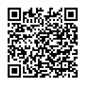 Link zu deiner Spendenaktion QRCode - Fundraising