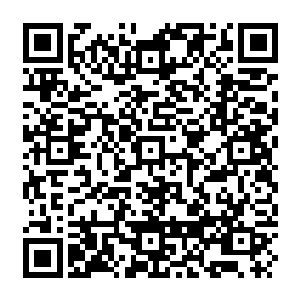 Link zu deiner Spendenaktion QRCode - Fundraising