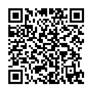 Link zu deiner Spendenaktion QRCode - Fundraising