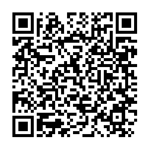 Link zu deiner Spendenaktion QRCode - Fundraising
