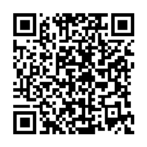 Link zu deiner Spendenaktion QRCode - Fundraising