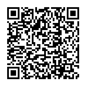 Link zu deiner Spendenaktion QRCode - Fundraising