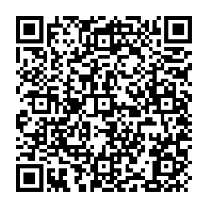 Link zu deiner Spendenaktion QRCode - Fundraising