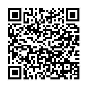 Link zu deiner Spendenaktion QRCode - Fundraising