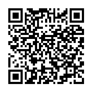 Link zu deiner Spendenaktion QRCode - Fundraising