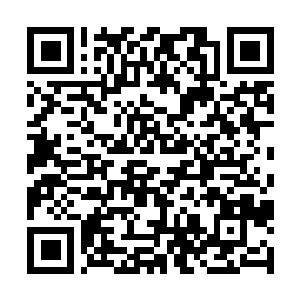 Link zu deiner Spendenaktion QRCode - Fundraising