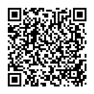 Link zu deiner Spendenaktion QRCode - Fundraising