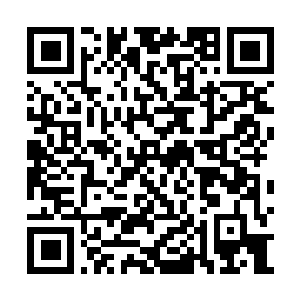 Link zu deiner Spendenaktion QRCode - Fundraising