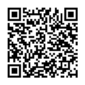 Link zu deiner Spendenaktion QRCode - Fundraising