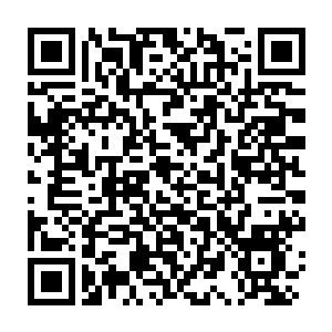 Link zu deiner Spendenaktion QRCode - Fundraising