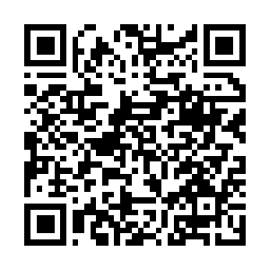 Link zu deiner Spendenaktion QRCode - Fundraising