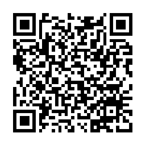 Link zu deiner Spendenaktion QRCode - Fundraising