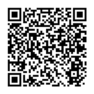 Link zu deiner Spendenaktion QRCode - Fundraising
